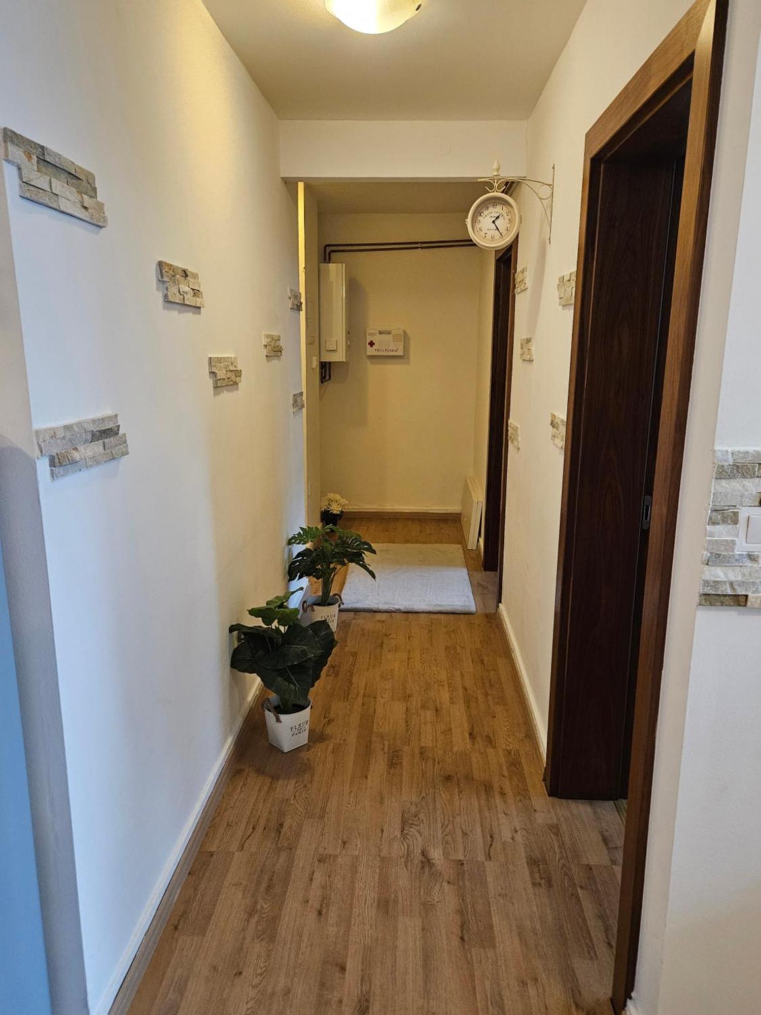 Apartment Zoya Kranjska Gora Exterior photo